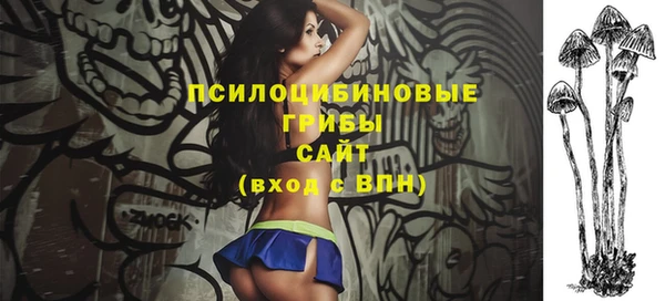 ПСИЛОЦИБИНОВЫЕ ГРИБЫ Нягань